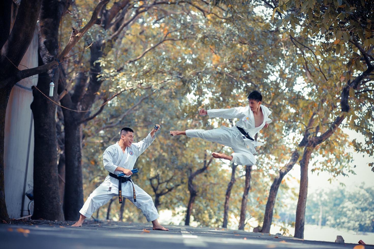 Historia y valores del Taekwondo en Lobos